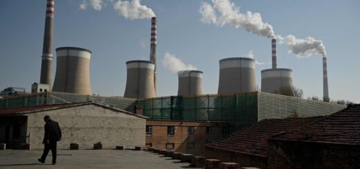 Čínska firma mení emisie z uhoľnej elektrárne na hnojivo
