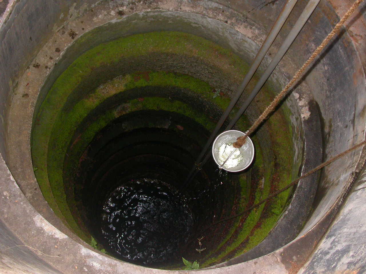 Water being lifted from a traditional well in Taliparamba, a town in Kerala in southwest India. Image by MANOJTV via Wikimedia Commons (CC BY-SA 3.0).