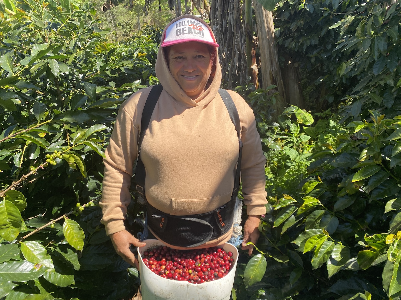 For Honduran coffee growers, EUDR compliance means changing old habits