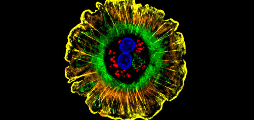 Recenzia knihy: V našich bunkách prebieha neustály boj mutácií