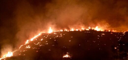 Rok 2026 už láme klimatické rekordy. Prichádzajúci El Niño môže pridať ďalšie