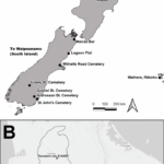 Štúdia ukazuje, že niektorí Māori v 18. storočí jedli takmer výlučne rastlinnú stravu Horticultural intensification and plant-based diets of 18 th century CE Waikato Māori in Aotearoa New Zealand