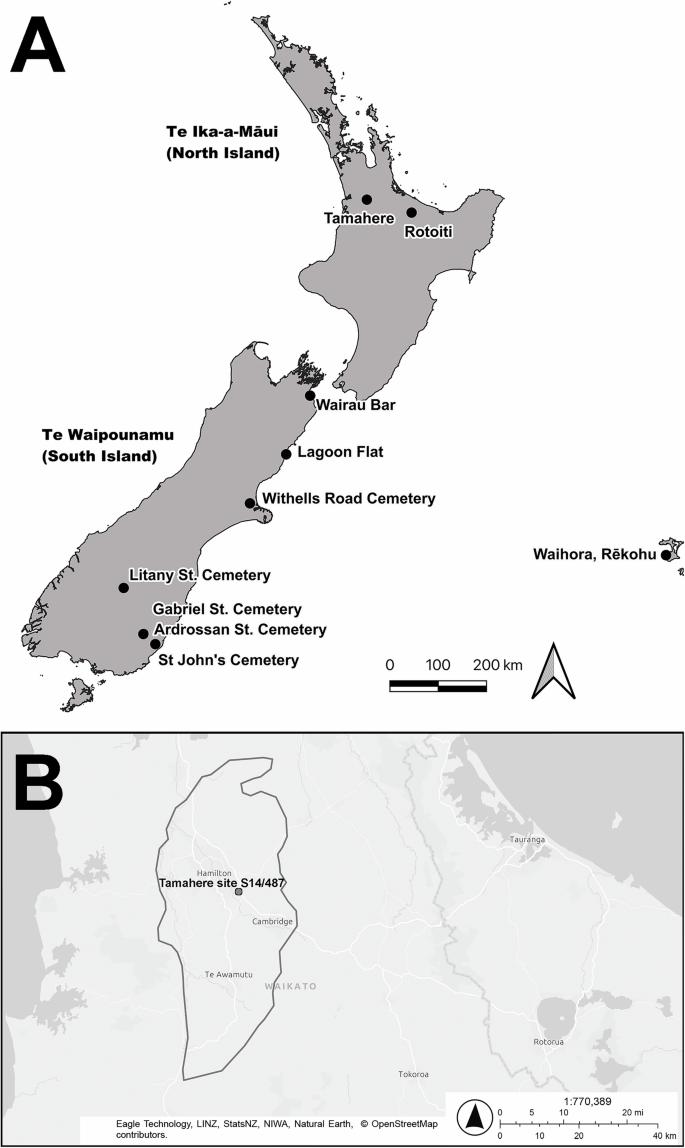 Fig. 1: Location of Tamahere site S14/487 and comparative sites in Aotearoa New Zealand.