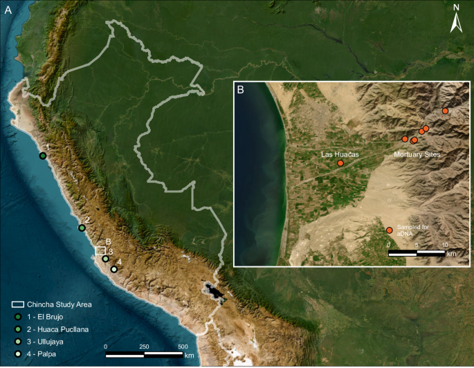 Ancient DNA reveals a family ossuary and long-distance migration on the Pacific coast before the Inca Empire