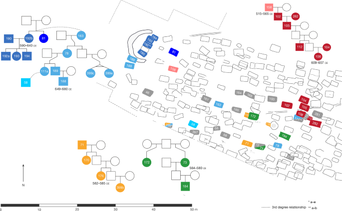 Fig. 6: Spatial arrangement of reconstructed pedigrees in the Büttelborn cemetery.