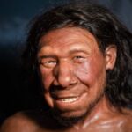 Neandertálci si pred 59-tisíc rokmi zrejme liečili zub vŕtaním do kosti, naznačuje nález zo Sibíri Neandertálci si pred 59-tisíc rokmi zrejme liečili zub vŕtaním do kosti, naznačuje nález zo Sibíri