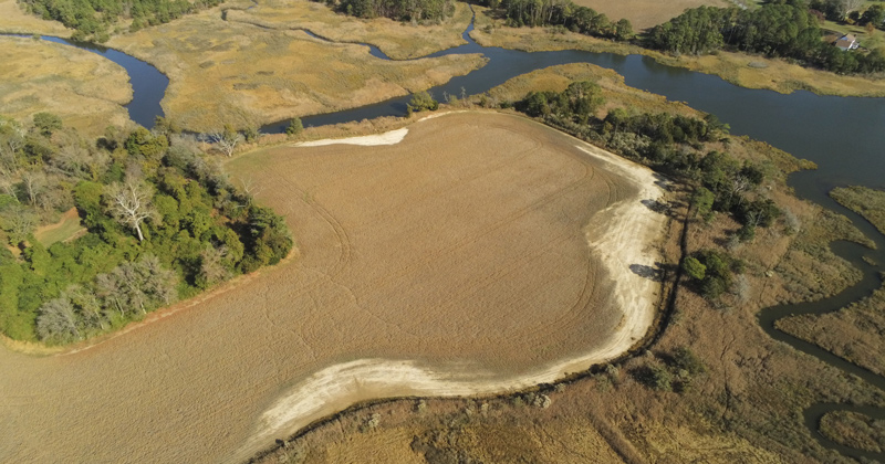 A field in Delaware, in the eastern United States. Salt along the edges affected crop growth. Image courtesy of Jarrod Miller/Delmarva Saltwater Intrusion.