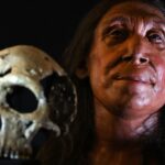 Neandertálci: čo vieme o našich najbližších vyhynutých príbuzných Neandertálci: čo vieme o našich najbližších vyhynutých príbuzných