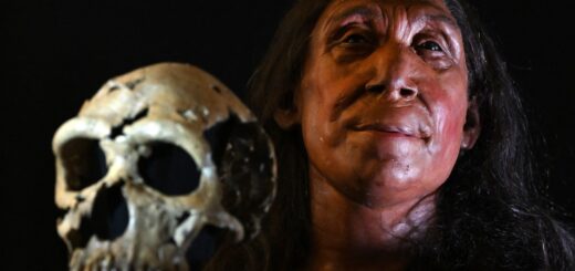 Neandertálci: čo vieme o našich najbližších vyhynutých príbuzných
