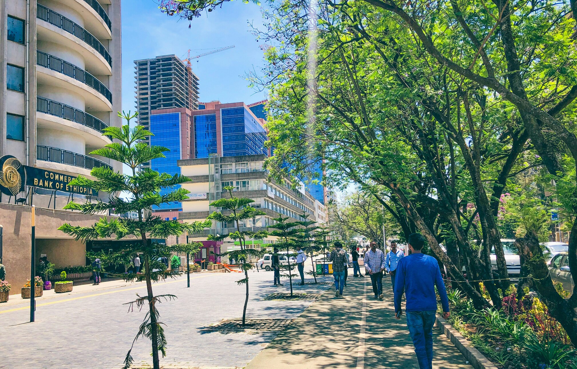 Green corridors and tree-lined streets are becoming increasingly common in Addis Ababa following a major citywide effort to restore riversides, expand public green spaces and increase urban tree cover. Image by Daniel Emale/Unsplash.