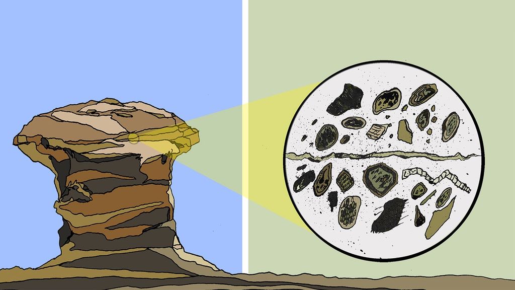 Portrait photo of A comic-style illlustration of a mushroom-shaped sedimentary rock outcrop on the right is seen with a circle in yellow, expanding on the right to a magnified version of the circle with fragmented brown fossils inside of it, some resembling worm structures, and others rounded.