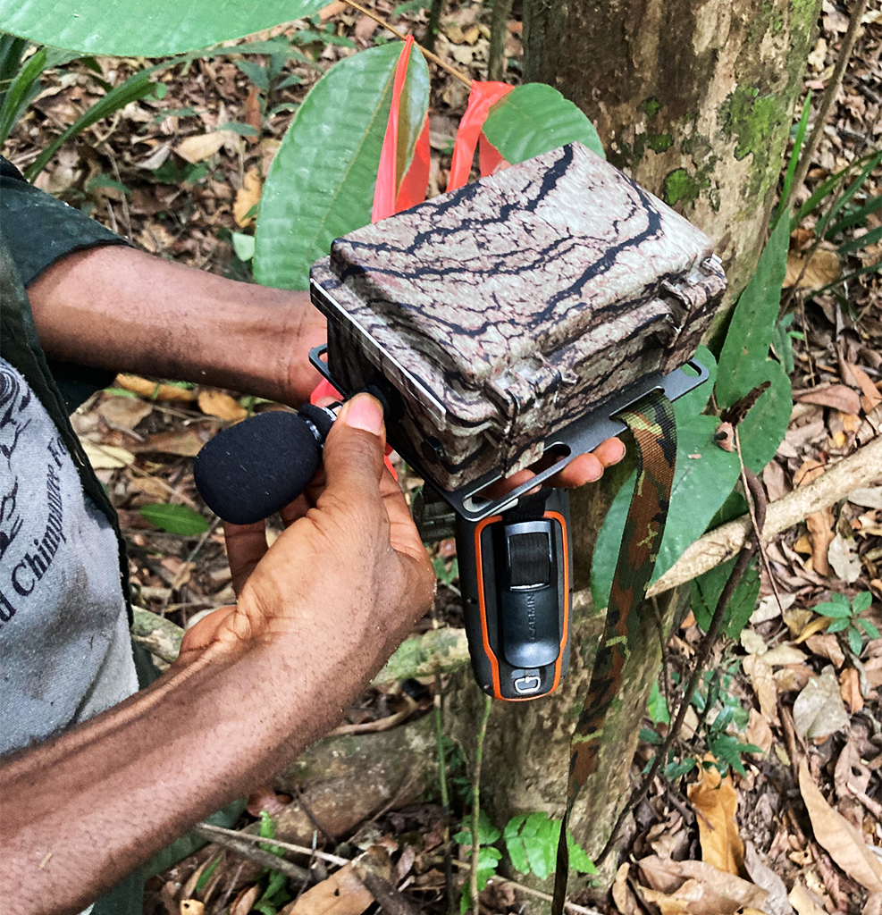 Bird calls were monitored via bioacoustics recorders. Image courtesy of H.S. Sathya Chandra Sagar/Sound Forest Lab.
