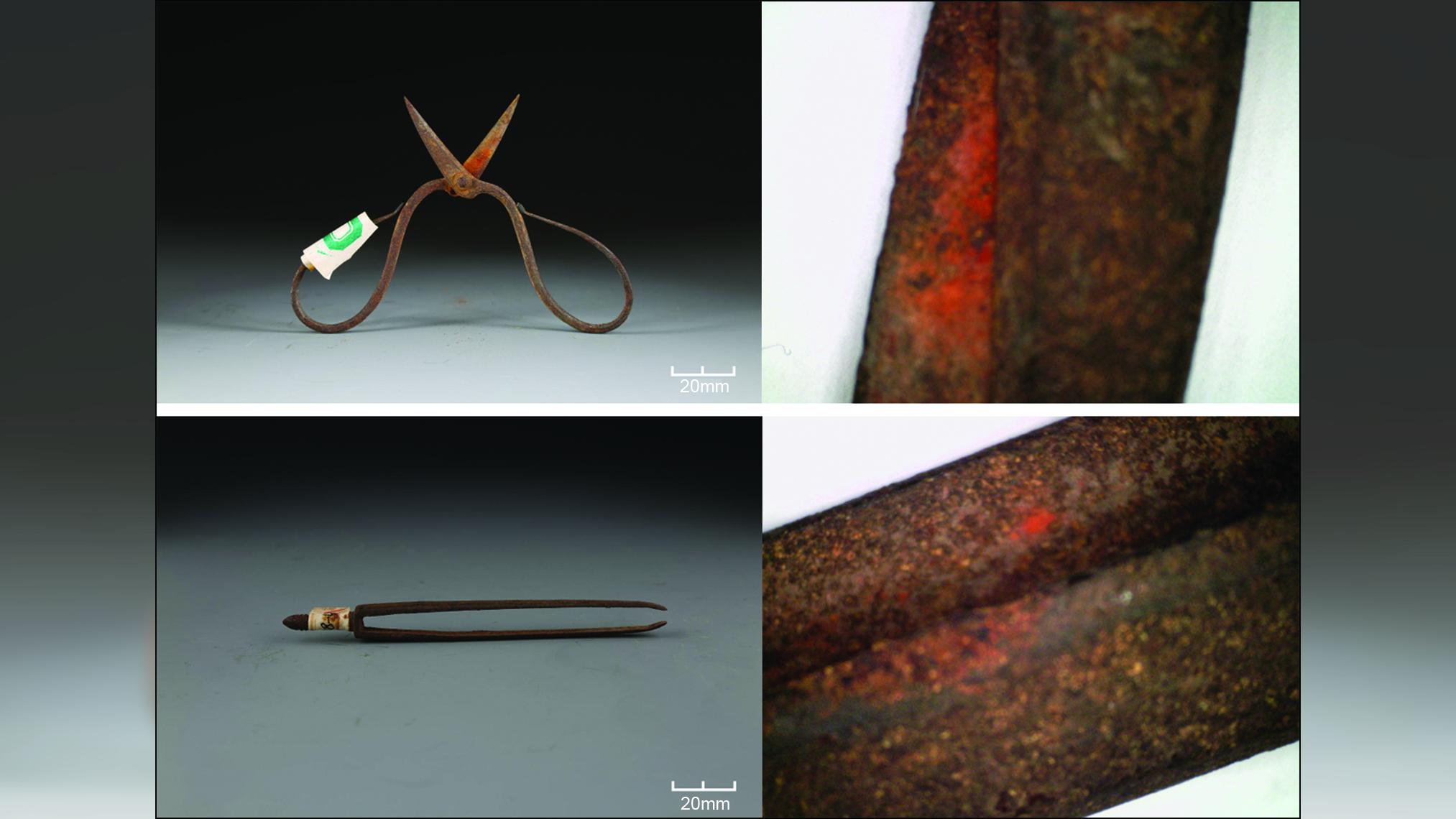 Toxic plant on Ming dynasty-era surgical tools may be world’s oldest chemical evidence of topical anesthetic
