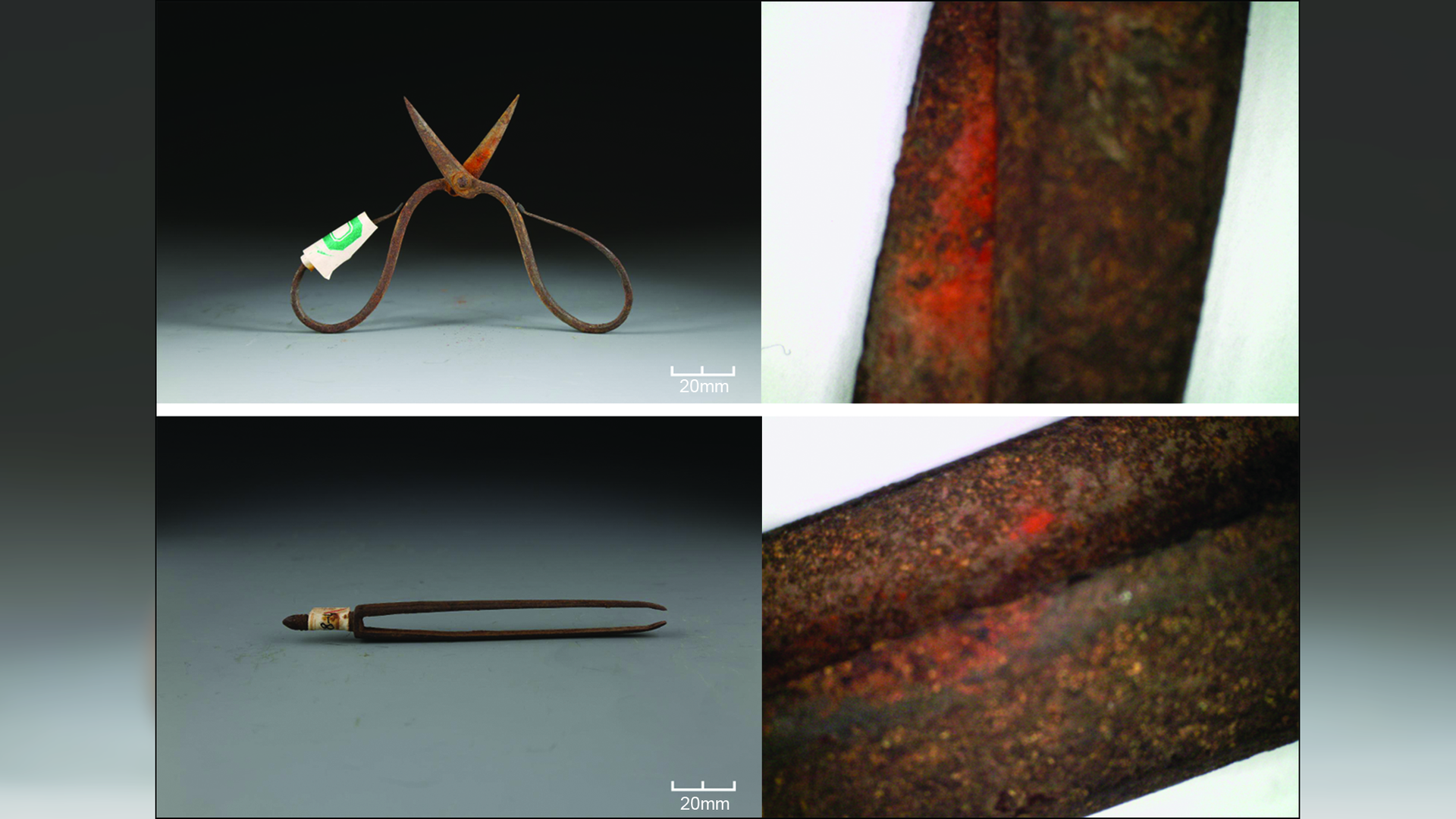 two iron surgical tools (scissors and tweezers) from 600 years ago