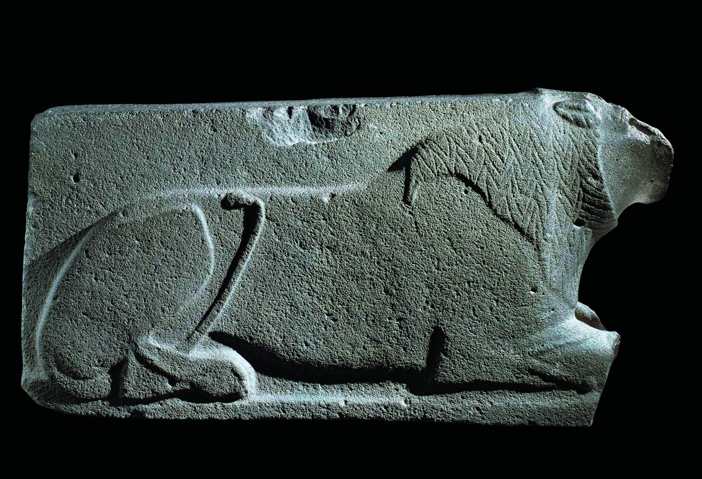 Early Herders in East Africa Continued to Collect Wild Foods