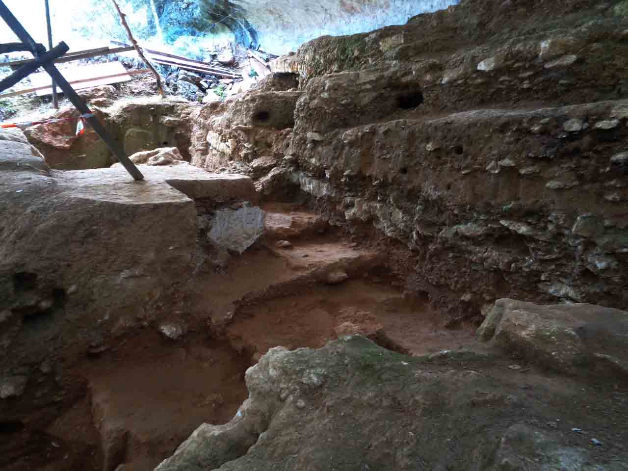 250,000-Year-Old Neanderthal Teeth Analyzed