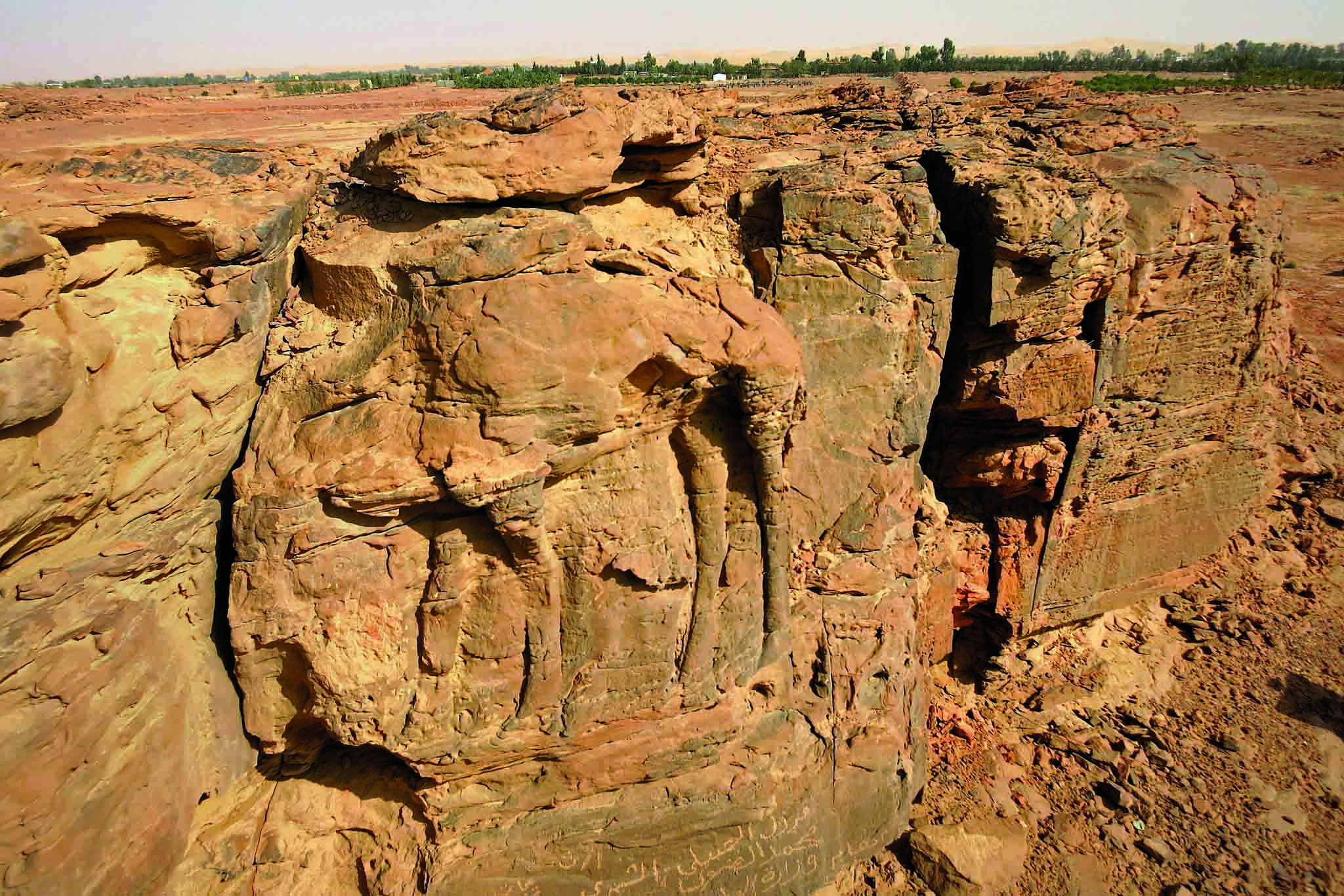 Jewelry Hoard Unearthed in Saudi Arabia