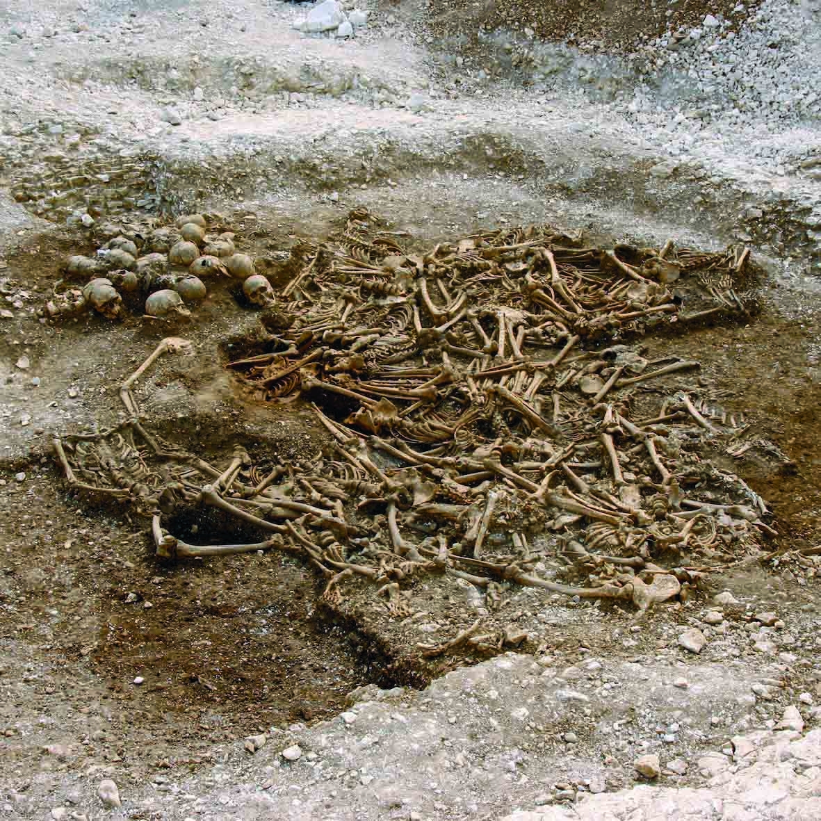 4,500-Year-Old Alcoholic Beverages Identified in Poland