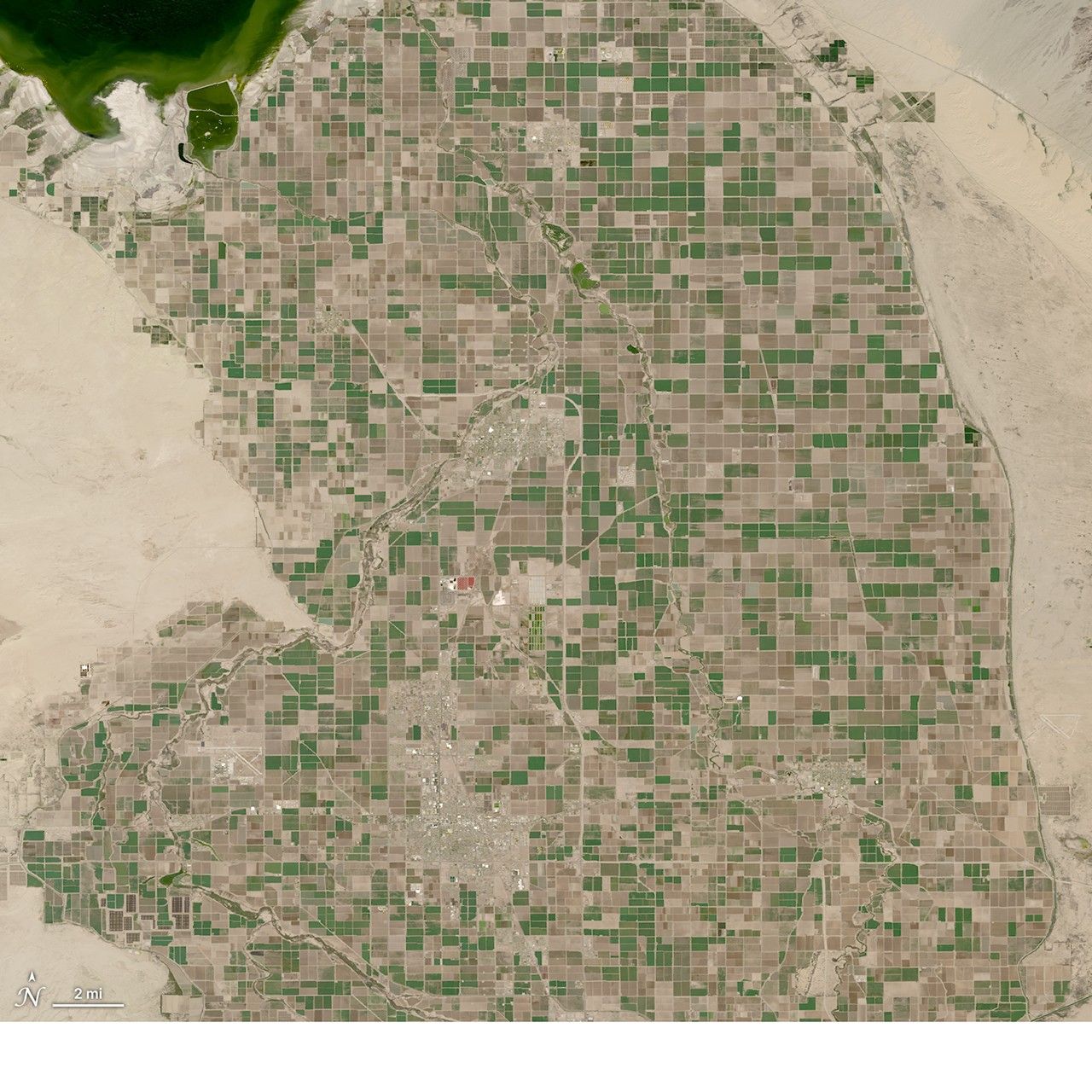 A natural-color HLS image of the Salton Sea in California. The water in the sea is green and is surrounded by tan bare earth. Crop fields below the sea appear as a green and tan patchwork.