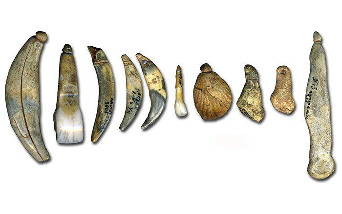 250,000-Year-Old Neanderthal Teeth Analyzed