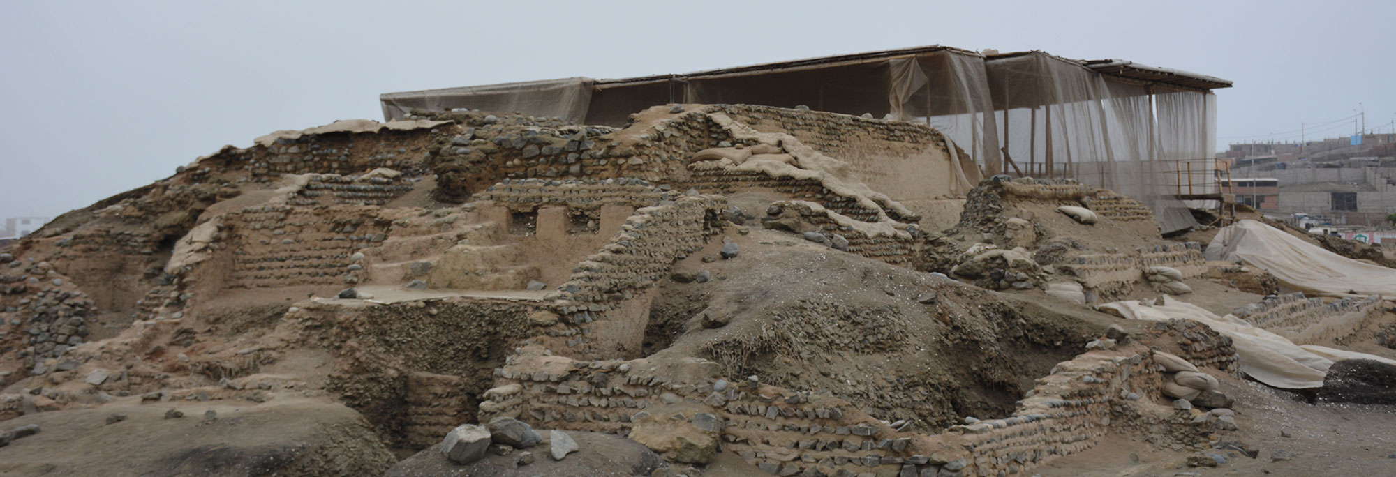 DNA Study Tracks Long-Distance Migration in Peru