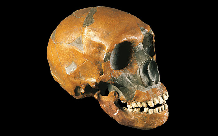 Sculpture Found in Croatian Cave Depicts Greek Theater Mask