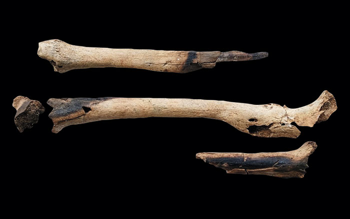 Anesthetic Detected on Ming Dynasty Surgical Tools