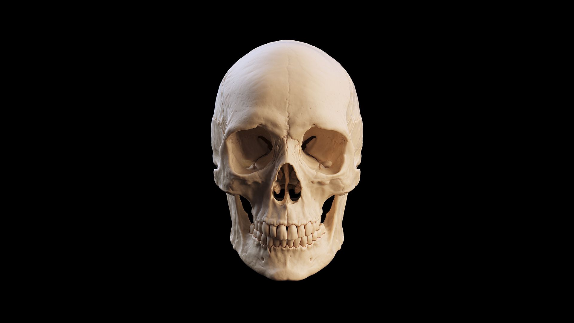 Ľudská evolúcia: čo vieme o pôvode Homo sapiens za posledných 300 000 rokov