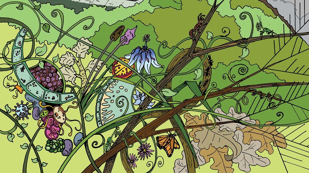Portrait photo of Comic-style lush landscape is shown with plants of different shades of green, ferns, flowers, butterflies, maple leaves, and a chain of magnified plant cells decorating the left part of the image.