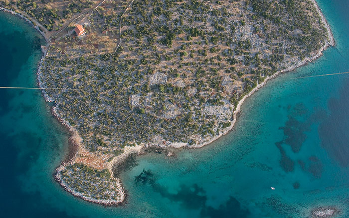 Bronze Age Pigeon Bones on Cyprus Studied