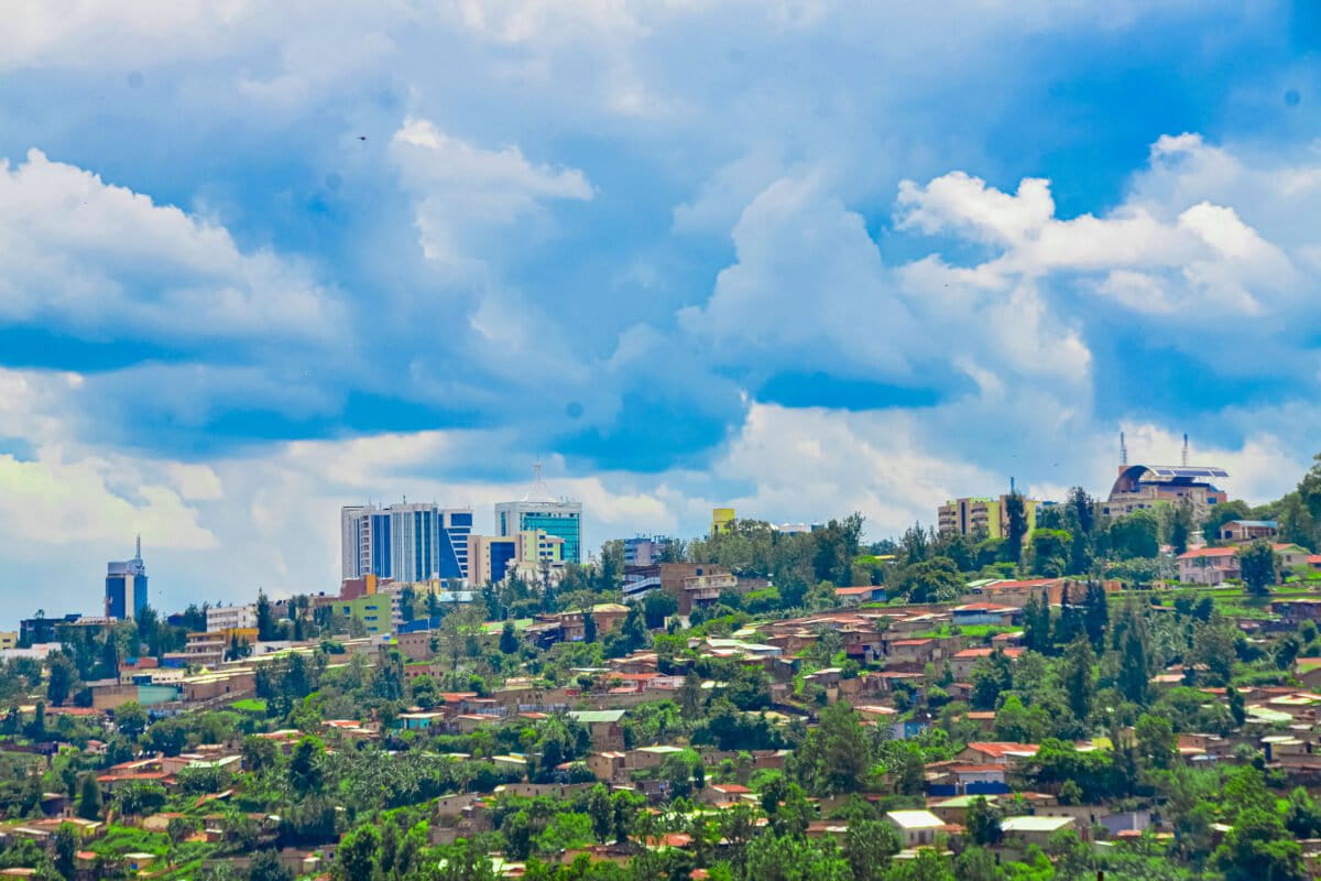 As African cities heat up, a new book argues trees are part of the solution