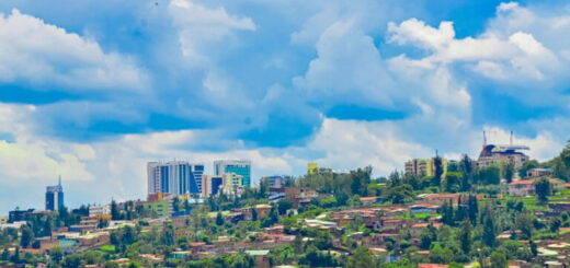 Africké mestá sa prehrievajú. Nová kniha tvrdí, že stromy sú súčasť riešenia