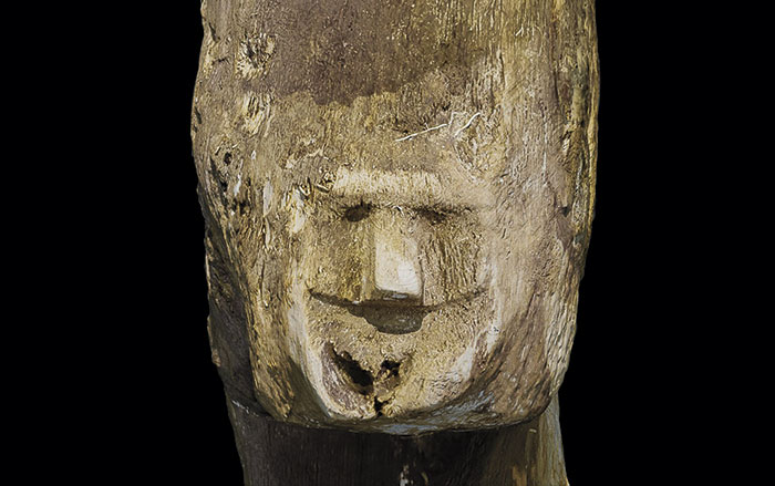 4,500-Year-Old Alcoholic Beverages Identified in Poland