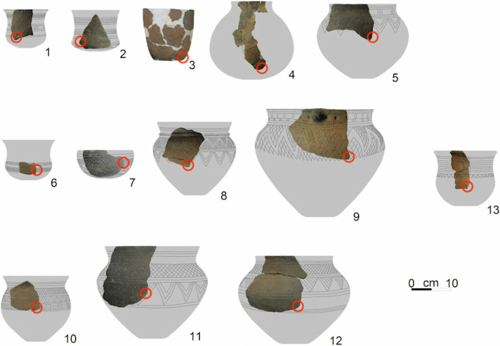 Bell Beaker pottery fragments with red circles marking sampling spots for chemical analyses