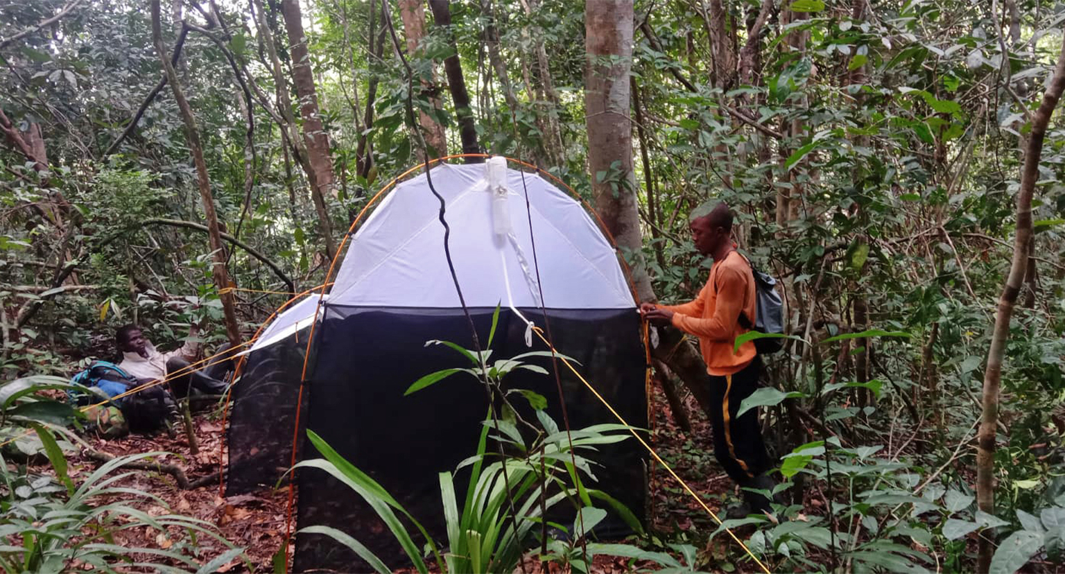 Sagar and his colleagues used Townes-style Malaise traps to catch arthropods. Image courtesy of H.S. Sathya Chandra Sagar/Sound Forest Lab.