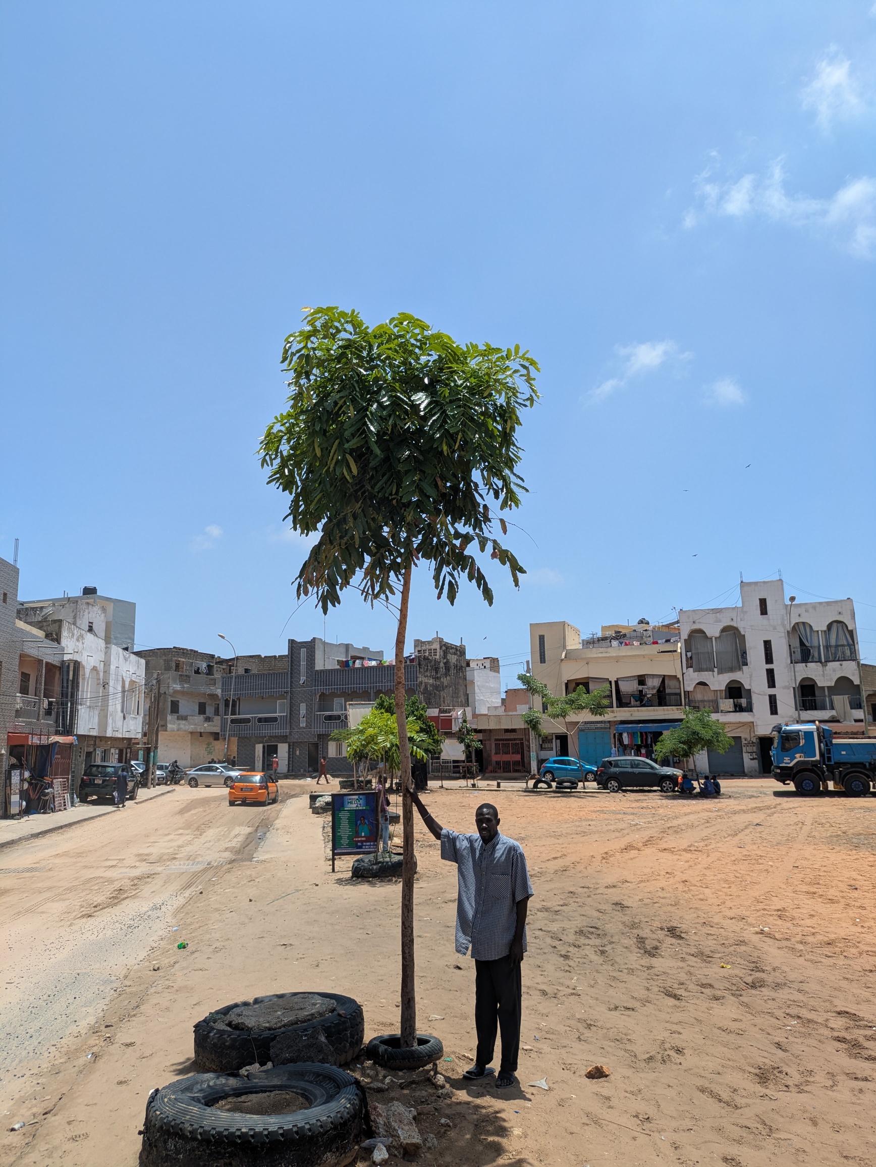With an estimated 4 million inhabitants, Dakar is among Africa’s most densely populated cities. The book highlights community-led tree-planting initiatives, including those involving young people, as part of efforts to increase urban tree cover and help the city cope with rising temperatures. Image courtesy of Alioune Badara Gueye/Keur Massar Nord Municipality.