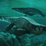 Nový „T. rex“ z oceánu: paleontológovia opísali obrovského mosasaura Tylosaurus rex Nový „T. rex“ z oceánu: paleontológovia opísali obrovského mosasaura Tylosaurus rex