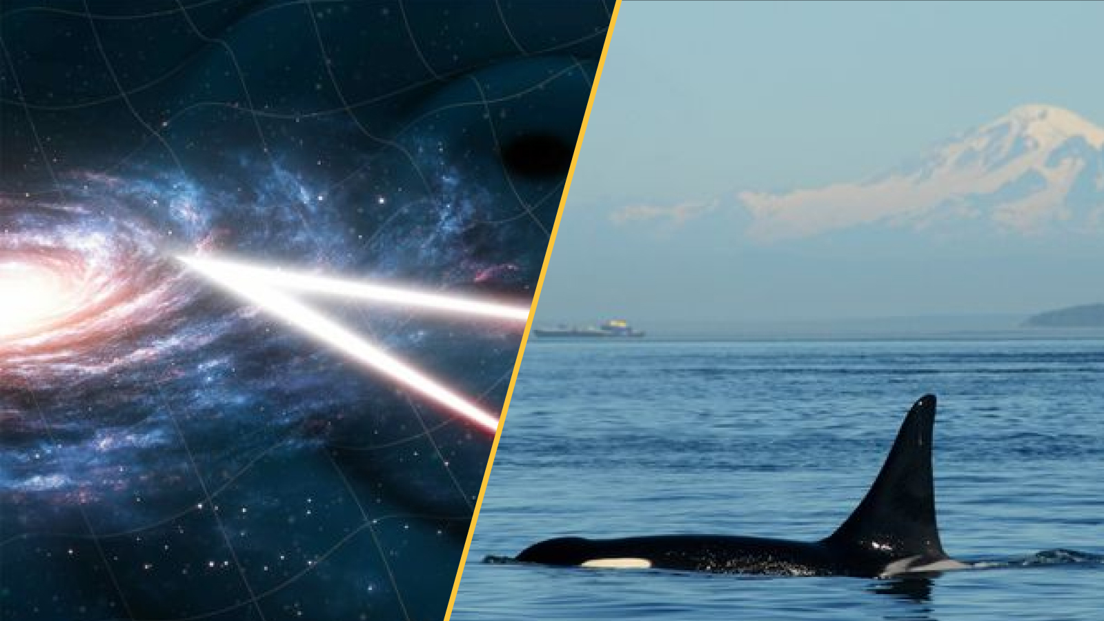 Science news this week March 7. 2026