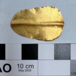 V bruchu egyptskej múmie našli časť Homérovej Iliady. Ide o prvý takýto nález