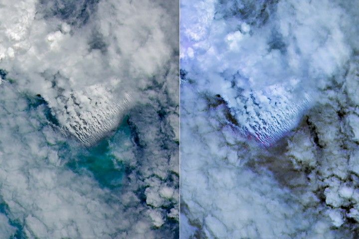 NASA-developed AI Could Help Track Harmful Algae