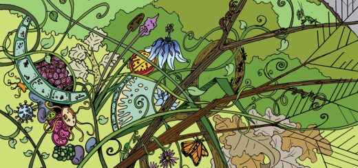How did life become something that competes for resources and evolves?