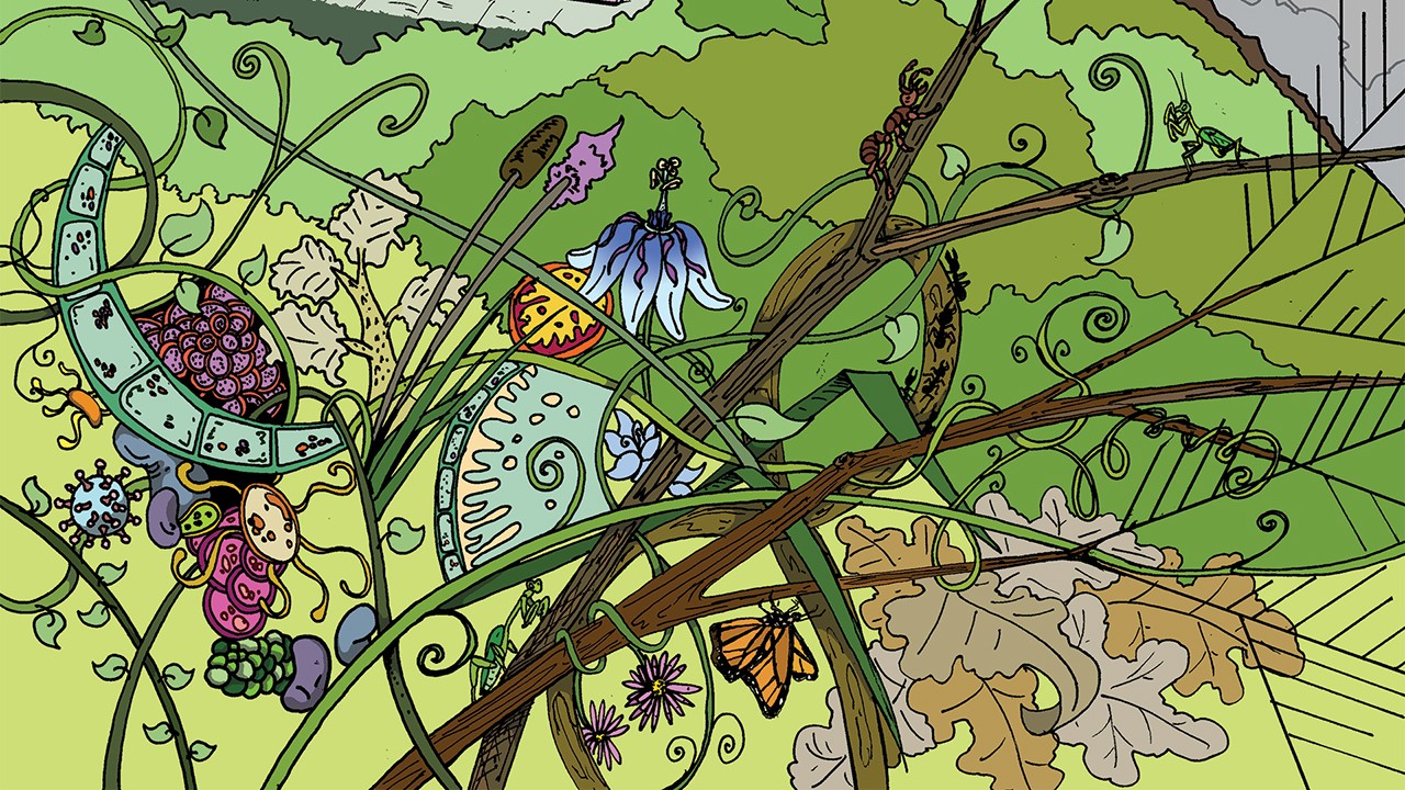 How did life become something that competes for resources and evolves?