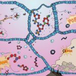 Ako vznikli prvé bunky? NASA vysvetľuje jednu z kľúčových otázok o pôvode života How did the first cells arise?