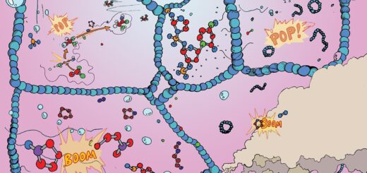 How did the first cells arise?