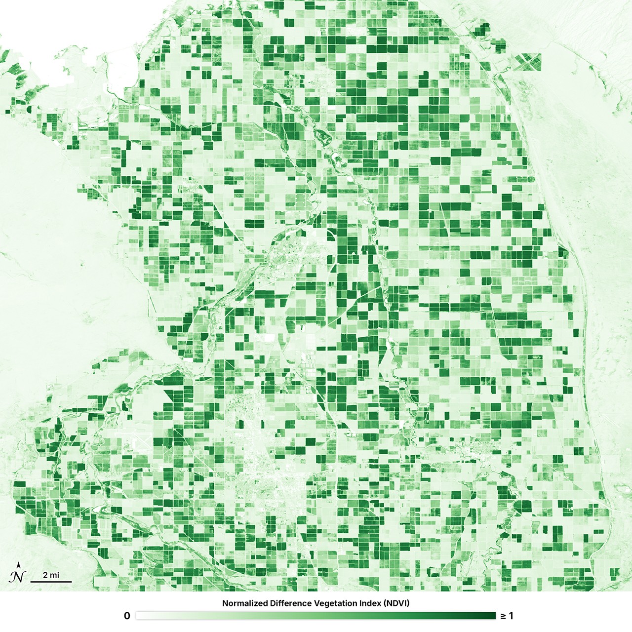 HLS Vegetation Indices