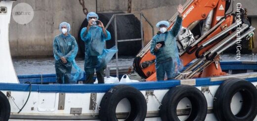 Hantavirus outbreak on cruise ship highlights uncertainty over human-to-human spread