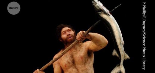 Proteíny zo zubov naznačujú, že Homo erectus sa mohol krížiť s Denisovanmi