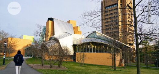 NSF zadržala nové výskumné granty pre Harvard, Princeton a ďalšie elitné univerzity