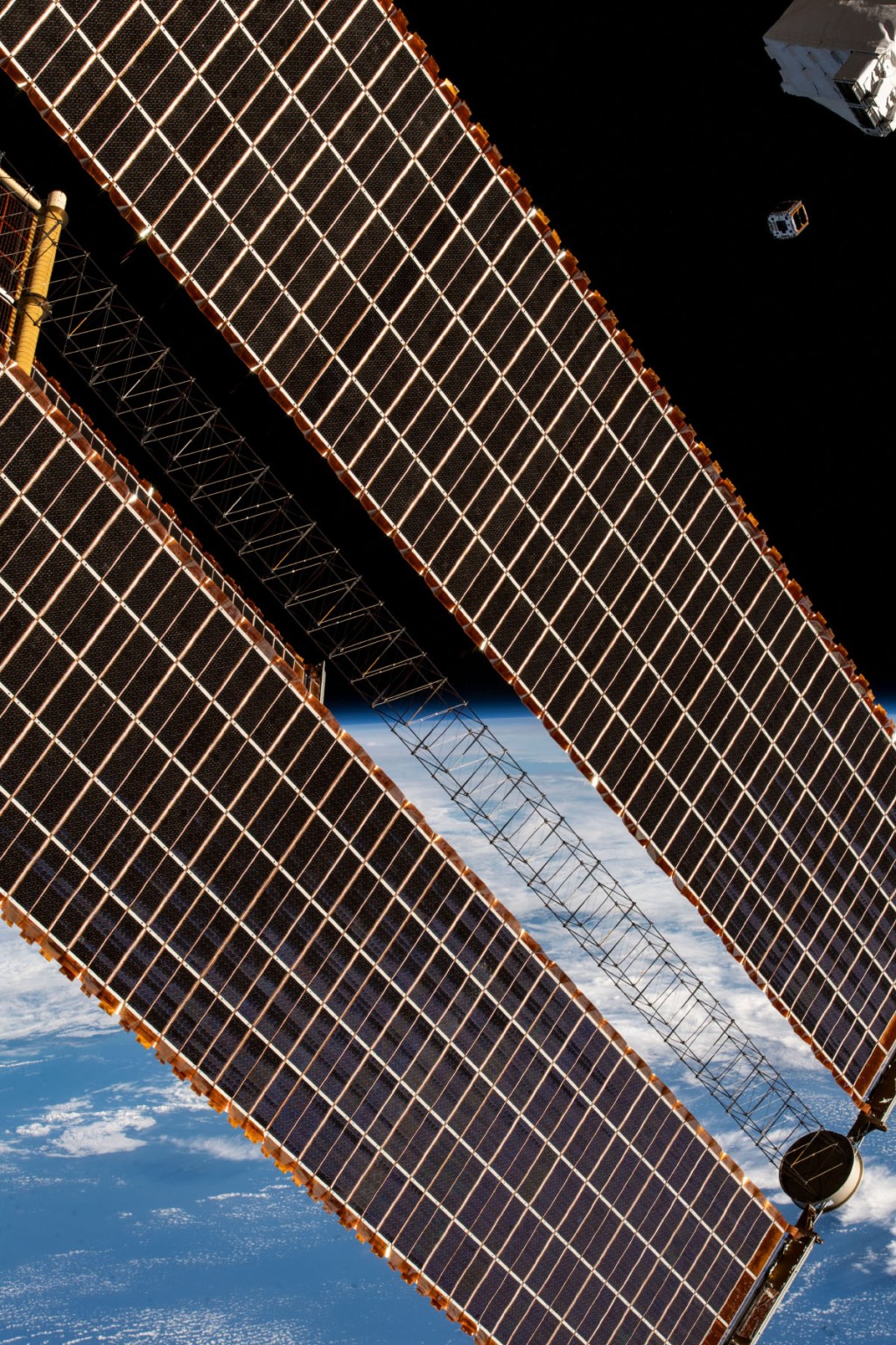 Studying Pneumonia in Space for Heart Health on Earth