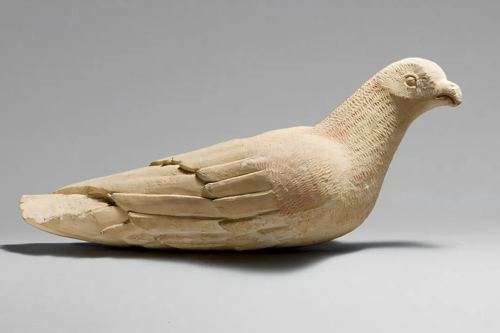 Pigeon Bones Found at an Ancient Cyprus Settlement Reveal That Our Relationship With These Birds Began Earlier Than We Thought